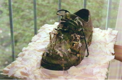 attic-shoe