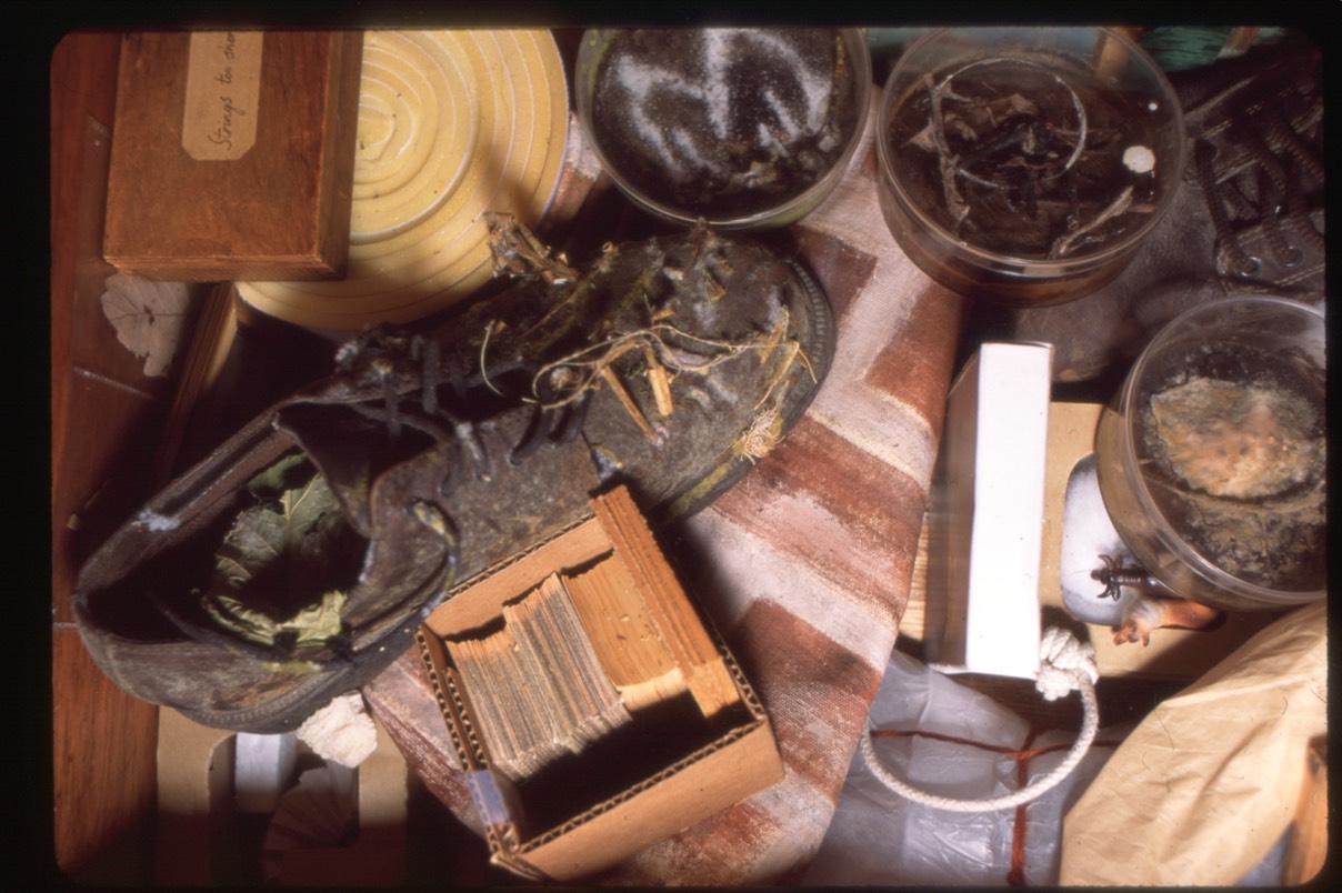 attic_closer