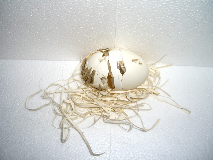 G.-Calik-EggMending-2
